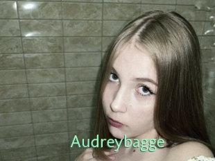 Audreybagge