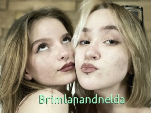 Brimlanandnelda