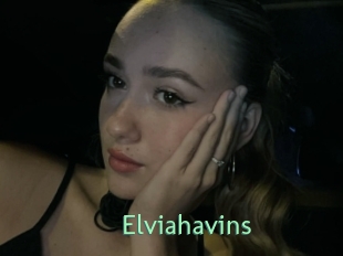 Elviahavins