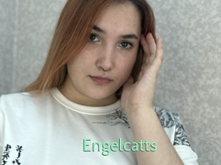 Engelcatts