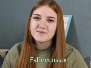 Falinecusson