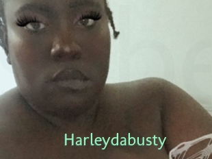 Harleydabusty