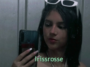 Irissrosse