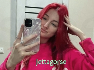 Jettagorse