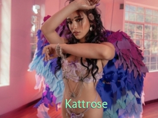 Kattrose