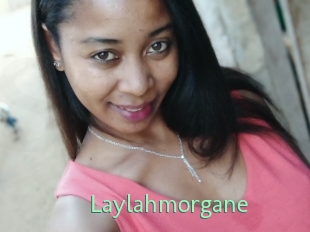 Laylahmorgane