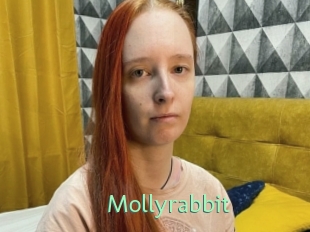 Mollyrabbit