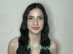 Pixelmuse