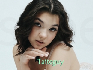 Taiteguy