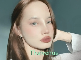 Thaivenus